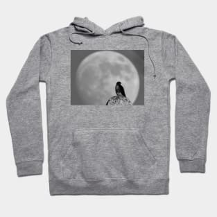 Moonhawk Hoodie